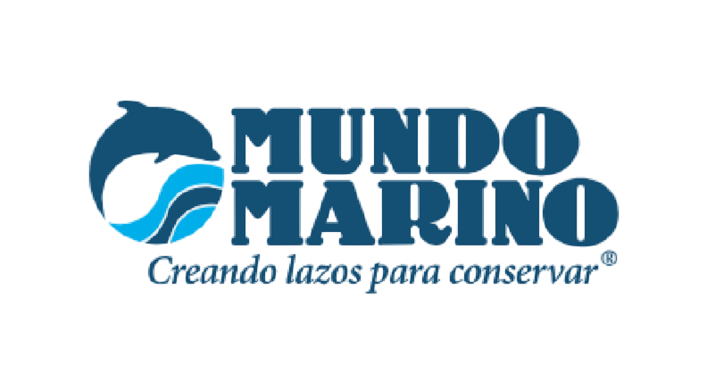 LOGOS 190X100-06-Photoroom